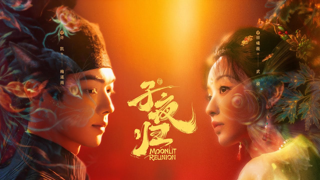 Moonlit Reunion (Zi Ye Gui) cover